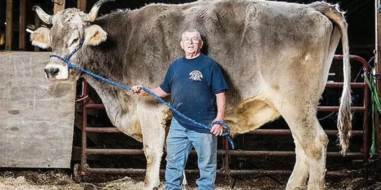 Guinness’in yeni rekorları