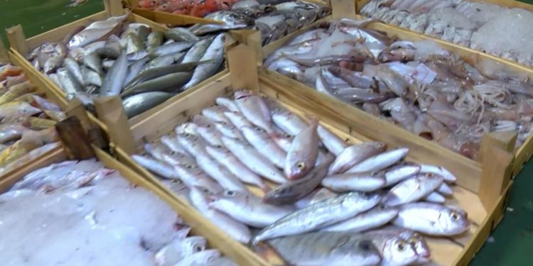 Gürpınar’da dönemin birinci balık mezatı yapıldı