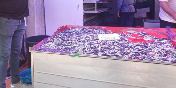 Hamsi 100 liradan satışa çıktı