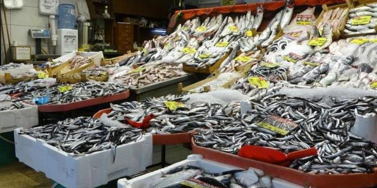 Hamsi bolluğu başladı