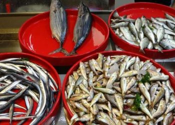 Hamsiler tezgahlarda yerini aldı