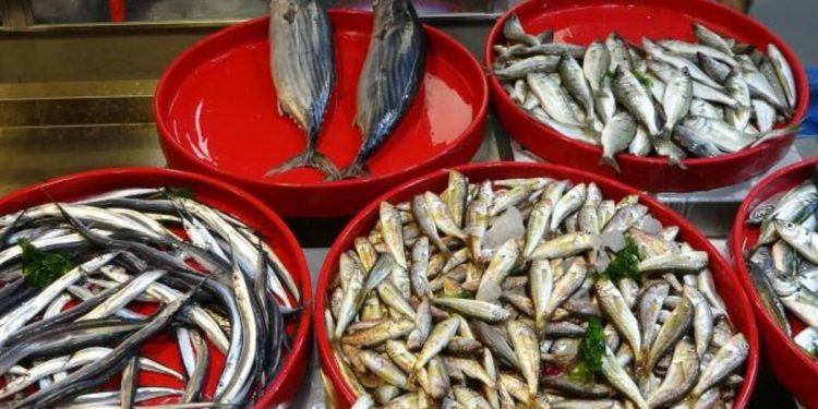 Hamsiler tezgahlarda yerini aldı