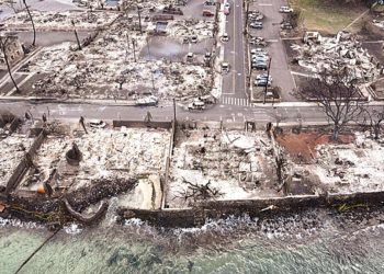 Hawaii yangınında elektrik firmasına dava