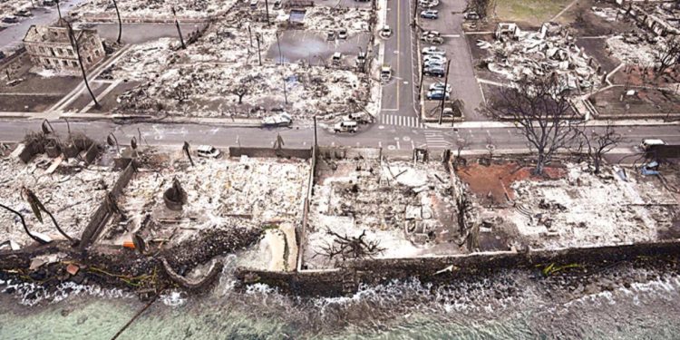 Hawaii yangınında elektrik firmasına dava