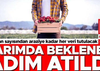 Hayvan sayısından toprağa kadar her data tutulacak: Tarımda beklenen adım atıldı