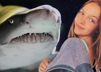 Her şey 20 saniye içinde oldu! 3 metrelik köpek balığı sağ bacağını alıp götürdü… Pekala nasıl hayatta kaldı?