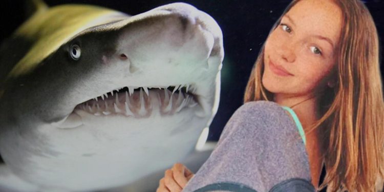 Her şey 20 saniye içinde oldu! 3 metrelik köpek balığı sağ bacağını alıp götürdü… Pekala nasıl hayatta kaldı?