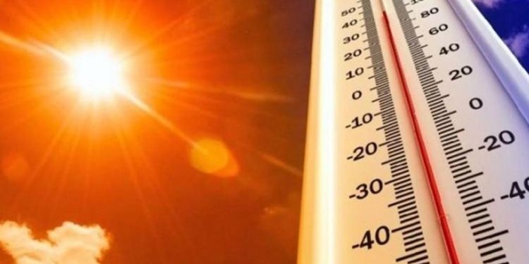 Hollanda sonbaharda yazı yaşadı