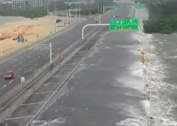 Idalia hayatı felç etti: Yüzlerce uçuş iptal, 49 bölgede OHAL