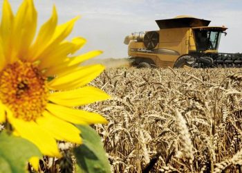 İki yıldır üst üste Rusya’dan tahıl rekoru