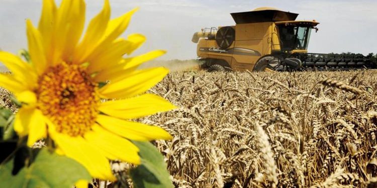 İki yıldır üst üste Rusya’dan tahıl rekoru