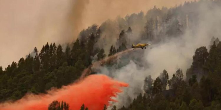 İspanya’da acı bilanço: Ekonomik kayıp 80.4 milyon dolar