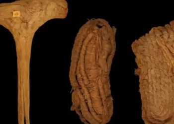 İşte Avrupa’nın en eski ayakkabısı