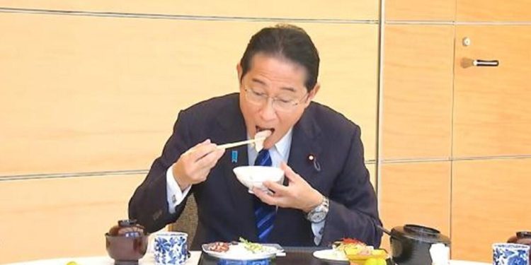 Japonya Başbakanından Fukushima tenkitlerine yemekli