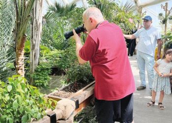 Kelebek Bahçesi’ne ziyaretçi rekoru