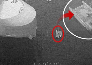 Köpek balıklarının saldırısından bu türlü kurtarıldılar