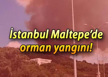 Maltepe orman yangını nerede, hangi ilçeye yakın? İstanbul Maltepe’de son dakika orman yangını!