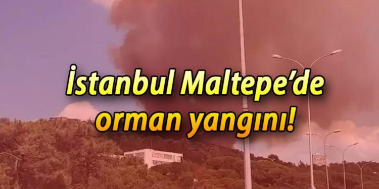Maltepe orman yangını nerede, hangi ilçeye yakın? İstanbul Maltepe’de son dakika orman yangını!