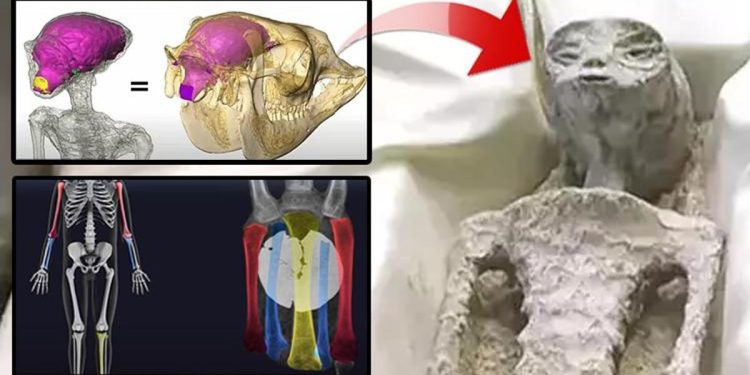 Meksika’da sergilenen ‘uzaylı’ların gerisindeki gerçek! Her şey bir kurgu mu?