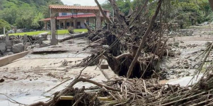 Meksika’yı sel vurdu! 8 kişi hayatını kaybetti…