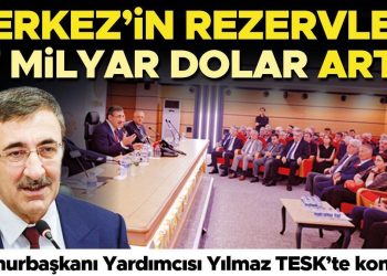Merkez’in rezervleri 27 milyar dolar arttı