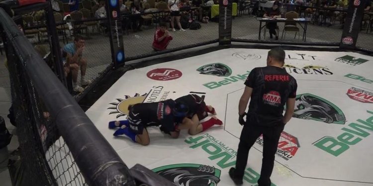 MMA nedir, hangi dövüş sanatlarını içerir?