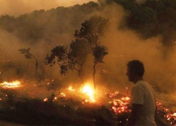 New York kadar alan küle döndü… Yunanistan’da acı bilanço