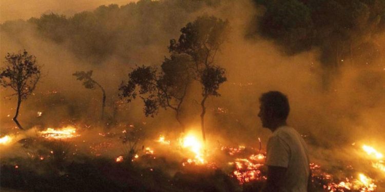 New York kadar alan küle döndü… Yunanistan’da acı bilanço