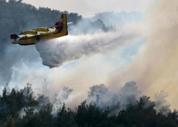 Orman yangınları sonrası Yunanistan’da 140 kişi gözaltına alındı