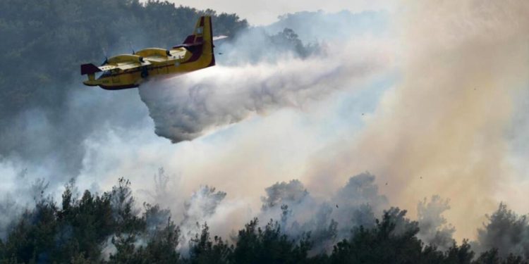 Orman yangınları sonrası Yunanistan’da 140 kişi gözaltına alındı