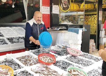 Rize’de hamsi rahmeti moral oldu