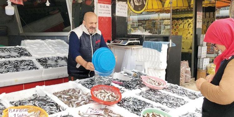 Rize’de hamsi rahmeti moral oldu