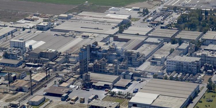 Sasa’ya tesis teşviki