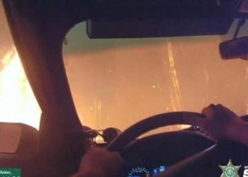 Sivilleri alevlerin ortasından kurtarmak için vefatına çaba