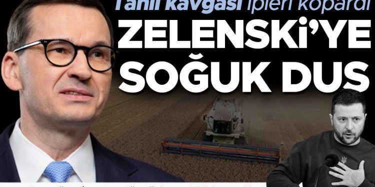Tahıl arbedesi ipleri kopardı! Polonya’dan Zelenski’ye soğuk duş