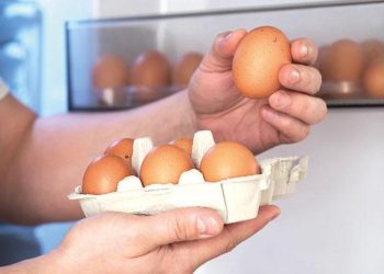 Tarım ve Orman Bakanlığı Hürriyet’e açıkladı: ‘Yumurtalar Türkiye’ye geri gönderilmedi’