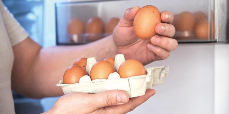 Tarım ve Orman Bakanlığı Hürriyet’e açıkladı: ‘Yumurtalar Türkiye’ye geri gönderilmedi’