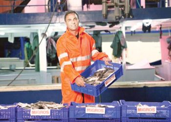 Tekneden reyona 10 bin ton balık