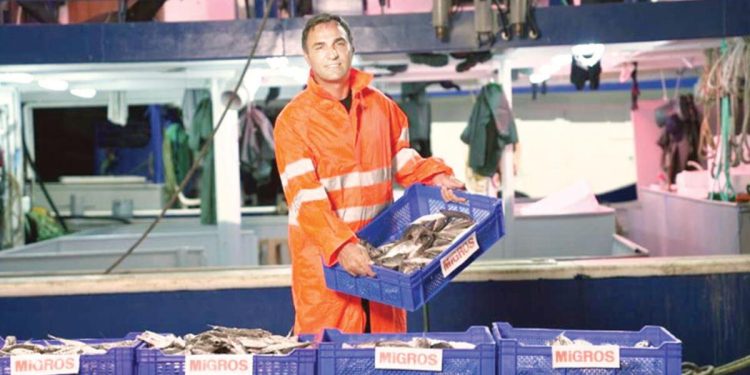 Tekneden reyona 10 bin ton balık