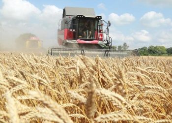 ‘TİGEM, hububat hasadı rekoru kırdı’