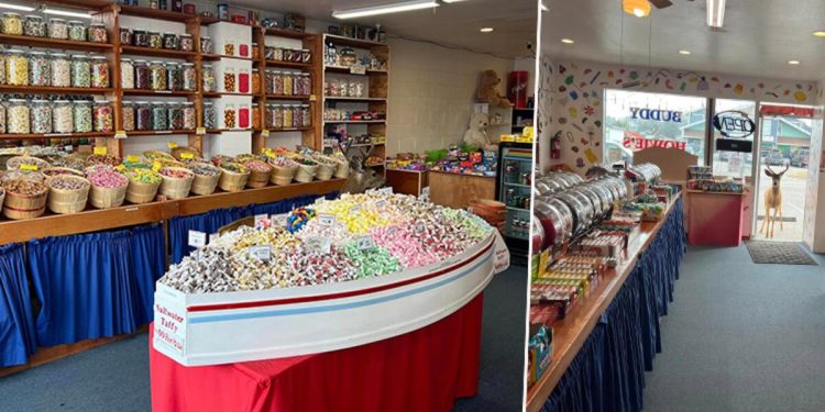 Toplumsal medya bu imgeleri konuşuyor… Geyik dükkana girdi, şeker alıp çıktı!