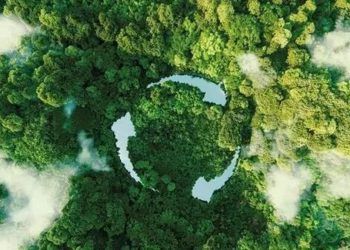 Türkiye yeni periyotta etrafa odaklanacak