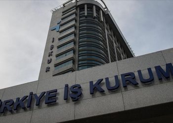 TYP numarası nedir, nereden ve nasıl öğrenilir?