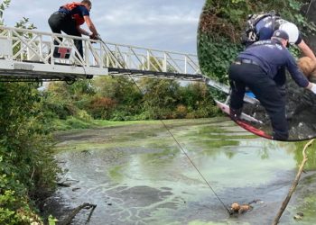 Üzerinde zincirler çamura gömülmüş halde bulundu, gizemi hastanede çözüldü!