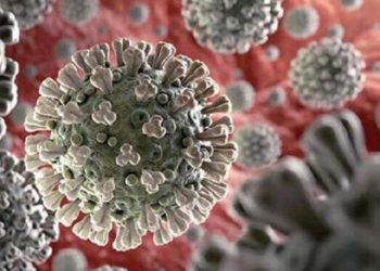 Virüs riski Türkiye için yatırım fırsatı