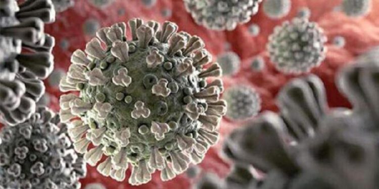 Virüs riski Türkiye için yatırım fırsatı