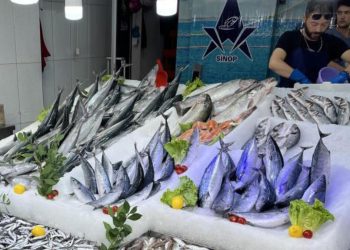 Yeni dönem balıkları tezgahlarda