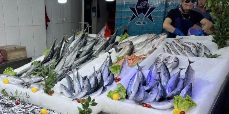 Yeni dönem balıkları tezgahlarda