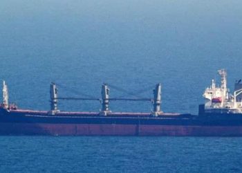 Yeni güzergahı kullanan birinci tahıl gemileri Ukrayna’da