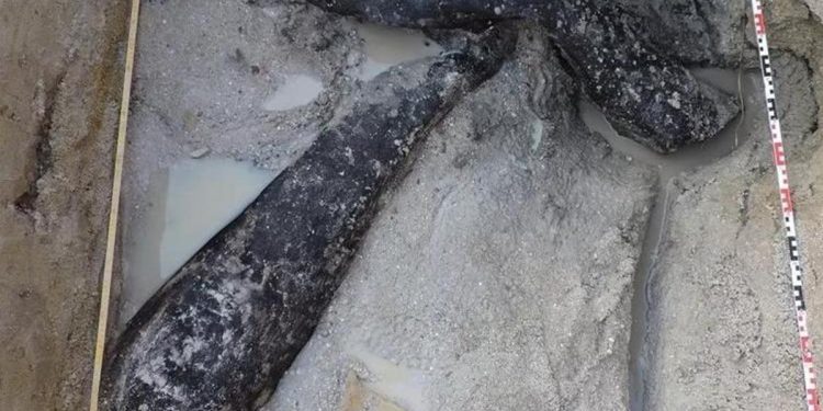 Zambiya’da heyecanlandıran keşif: 500 bin yıllık ahşap yapı bulundu